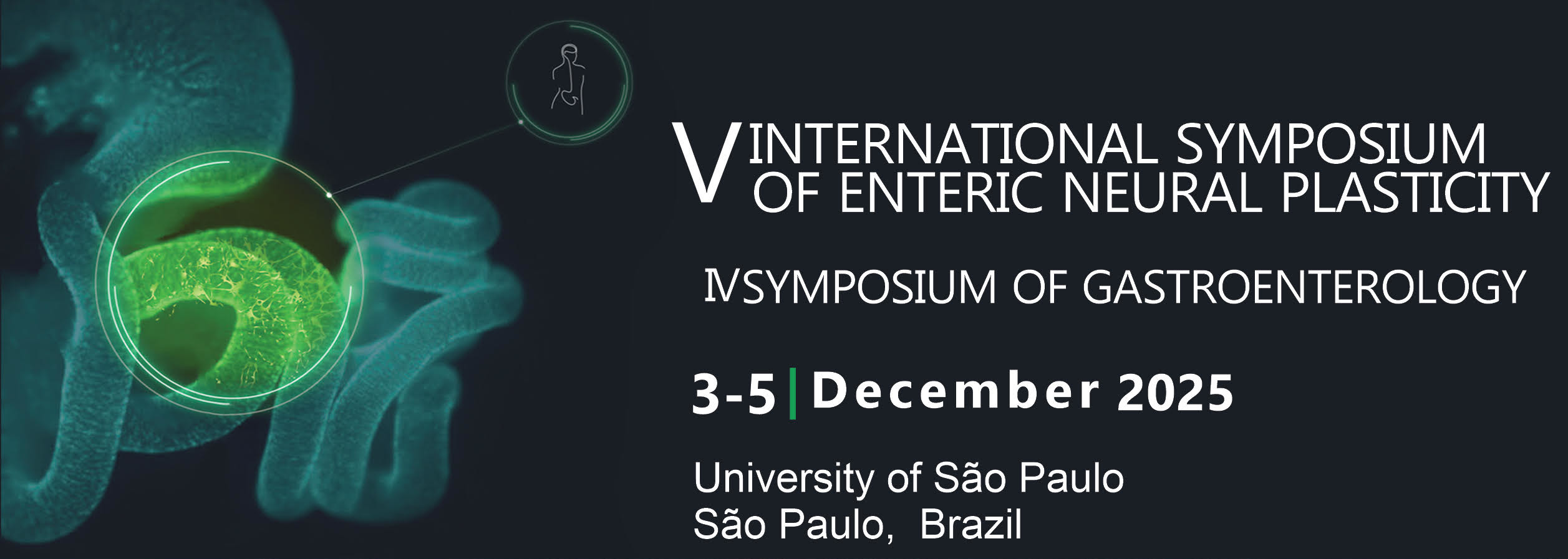 Banner of the V International Symposium of Enteric Neural Plasticity